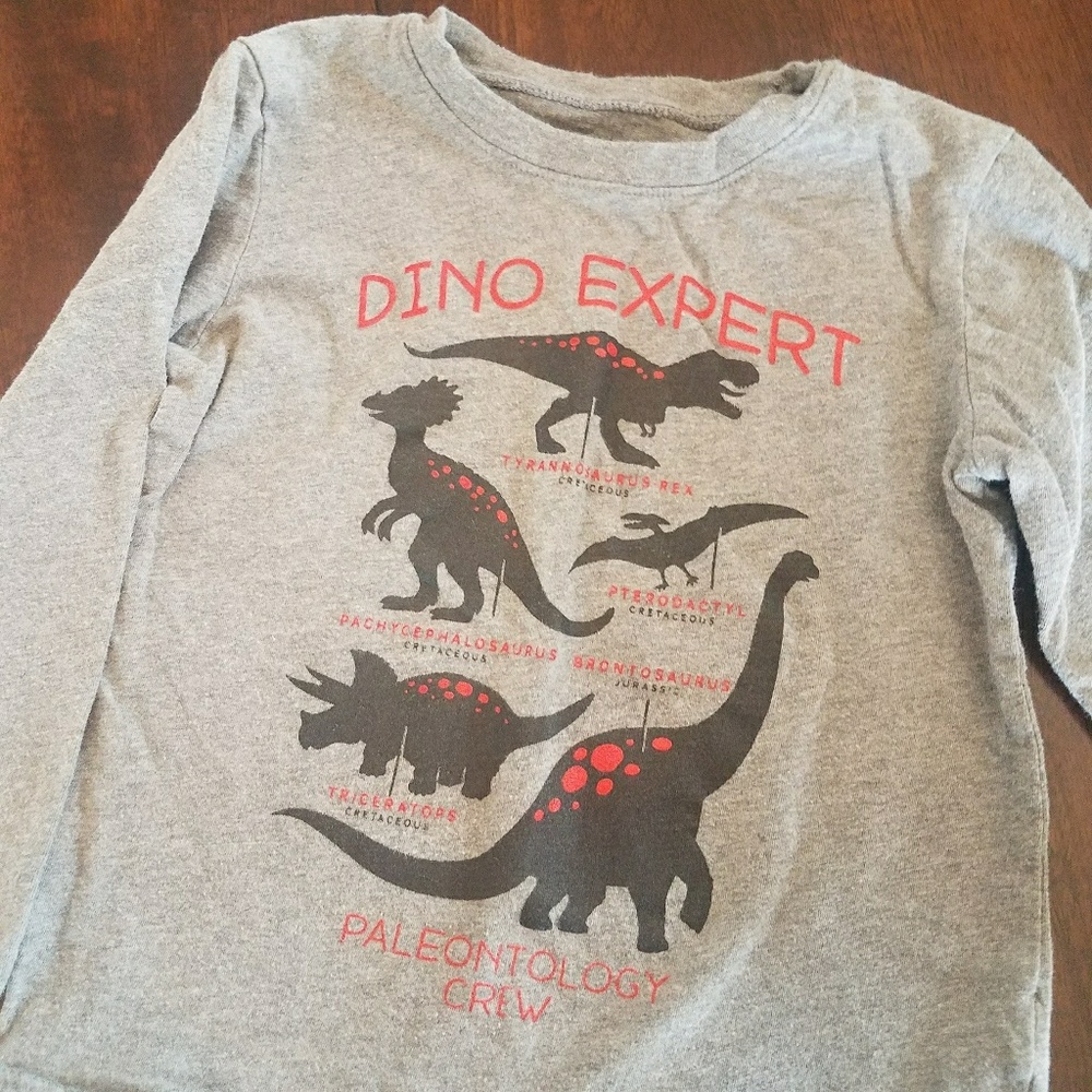 Dino expert tee